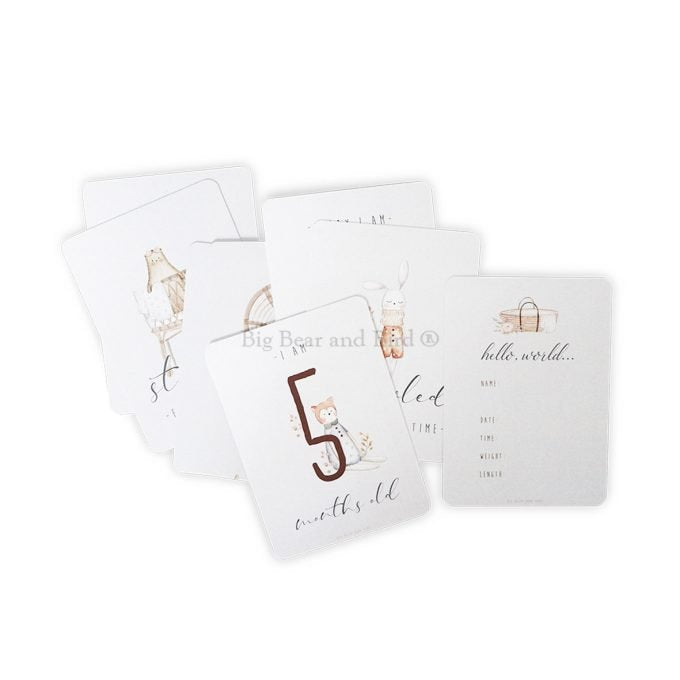 Baby Milestones Cards